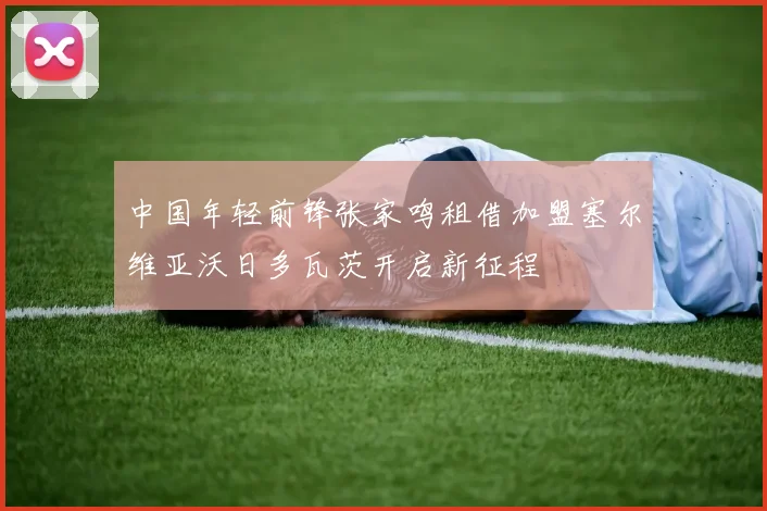 中国年轻前锋张家鸣租借加盟塞尔维亚沃日多瓦茨开启新征程