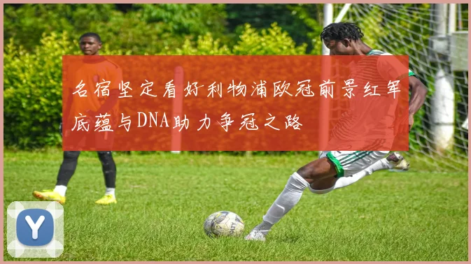 名宿坚定看好利物浦欧冠前景红军底蕴与DNA助力争冠之路