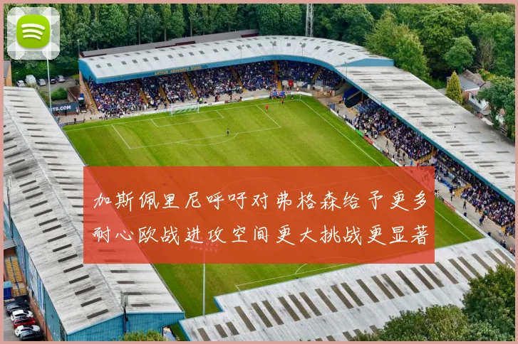 加斯佩里尼呼吁对弗格森给予更多耐心欧战进攻空间更大挑战更显著
